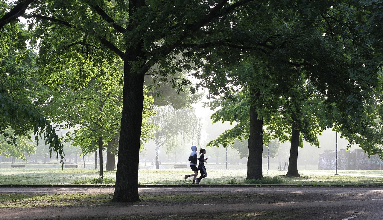 Two people jogging in a park