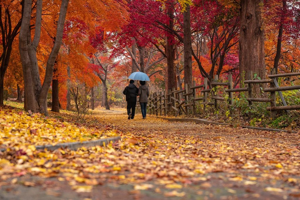 A couple walking in a park in the autumn. 